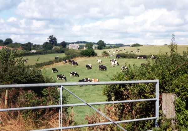 Farming in Burton Bradstock